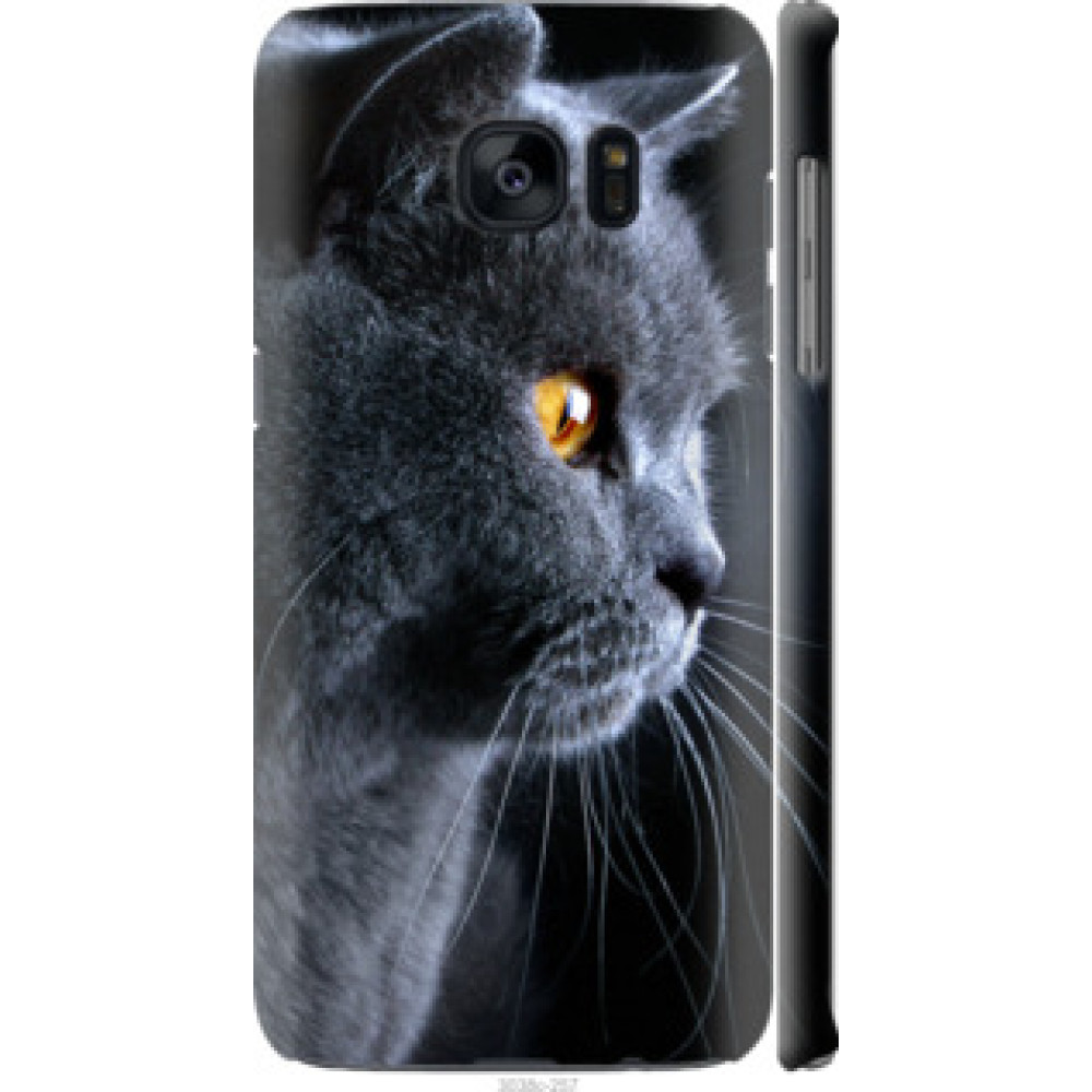 Чехол на Samsung Galaxy S7 Edge G935F Красивый кот (3038c-257)