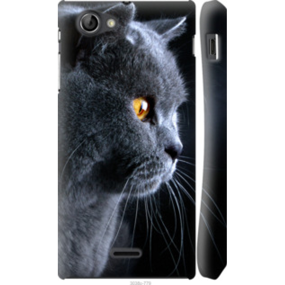 Чохол на Sony Xperia J ST26i Красивый кот (3038c-779)
