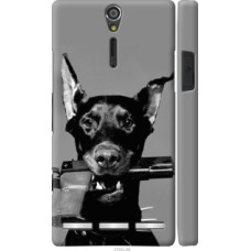 Чехол на Sony Xperia S LT26i Доберман (2745u-86)