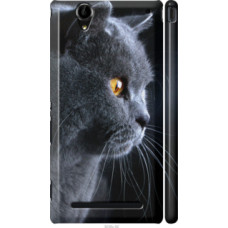 Чехол на Sony Xperia T2 Ultra Dual D5322 Красивый кот (3038c-92)