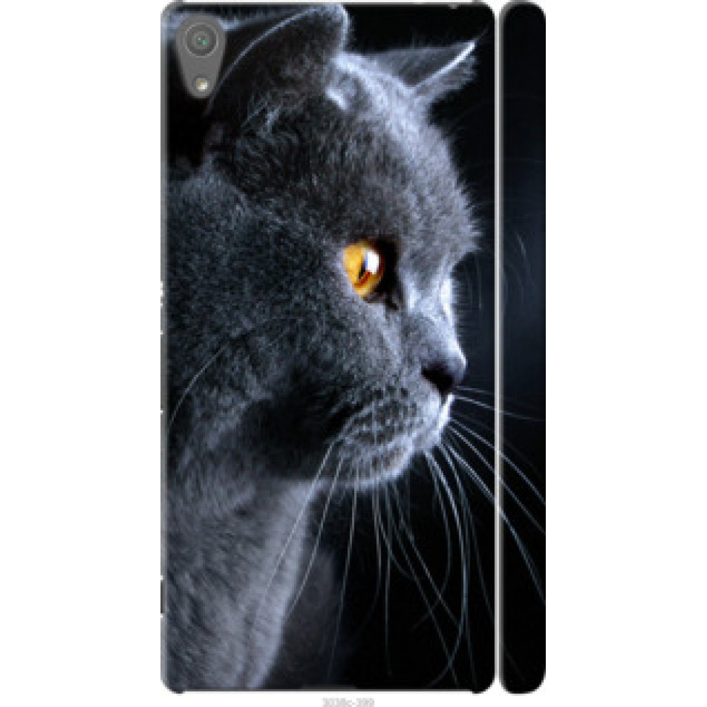 Чохол на Sony Xperia XA F3112 Красивый кот (3038c-399)