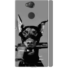 Чехол на Sony Xperia XA2 H4113 Доберман (2745c-1357)