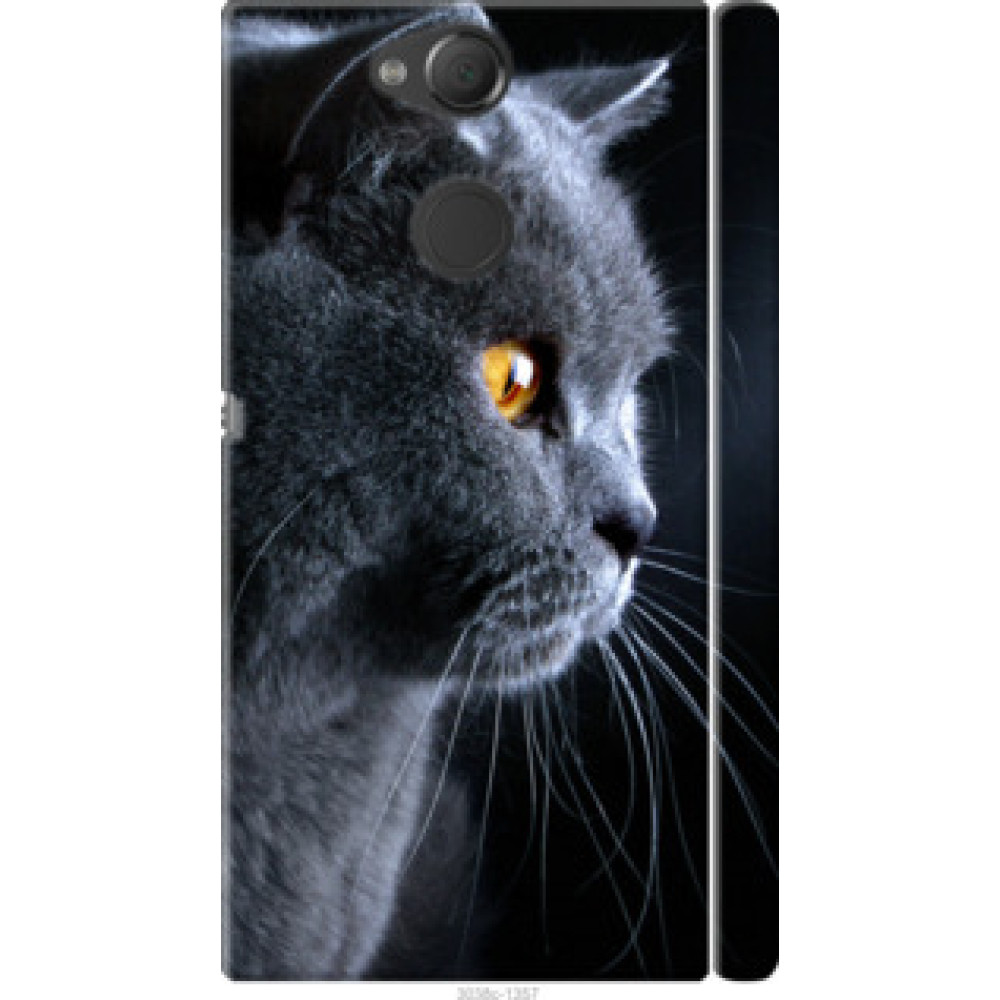 Чехол на Sony Xperia XA2 H4113 Красивый кот (3038c-1357)