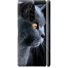 Чехол на Sony Xperia XZ4 Красивый кот (3038c-1623)