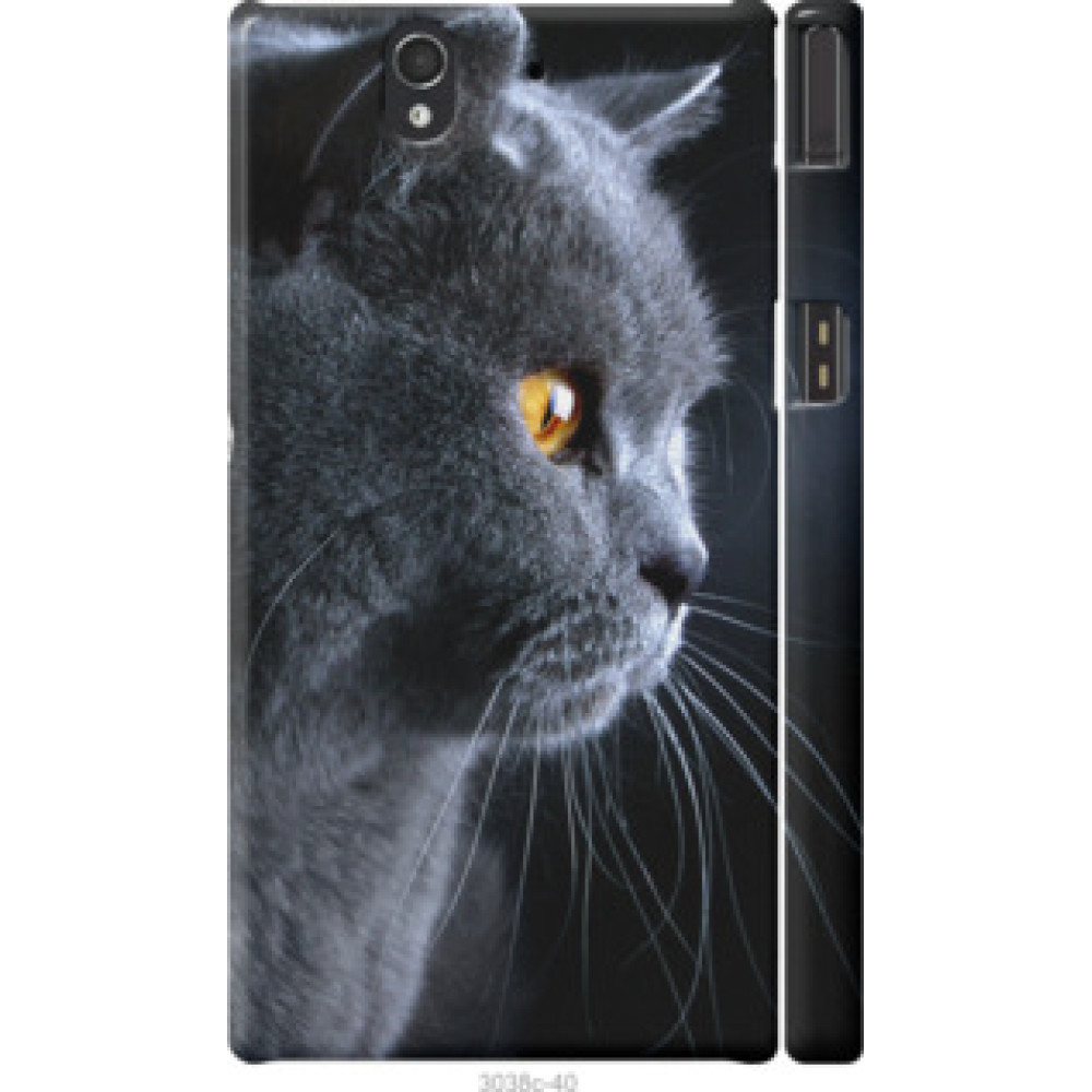 Чехол на Sony Xperia Z C6602 Красивый кот (3038c-40)