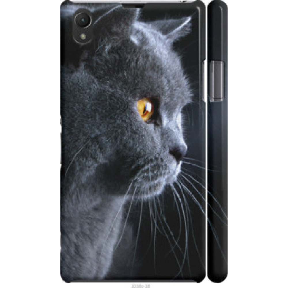 Чехол на Sony Xperia Z1 C6902 Красивый кот (3038c-38)