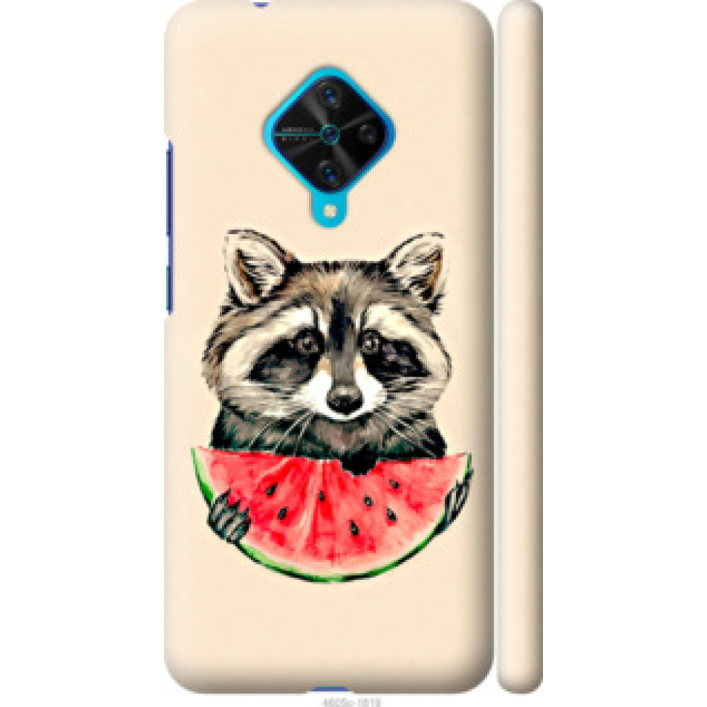 Чохол на Vivo V17 Енотик с арбузом (4605c-1819)