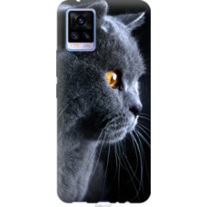 Чехол на Vivo V20 Красивый кот (3038u-2127)