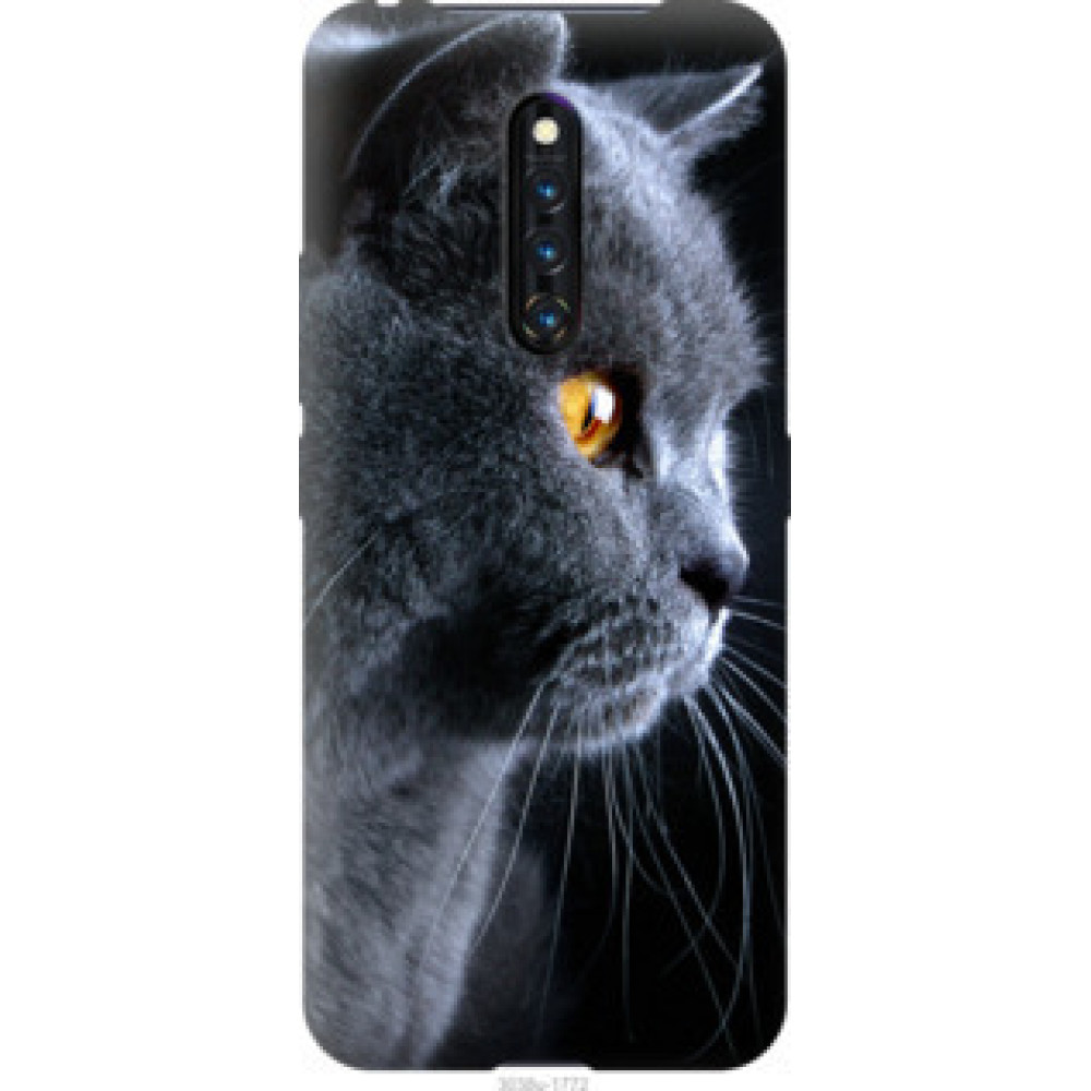 Чехол на Vivo X27 Pro Красивый кот (3038u-1772)