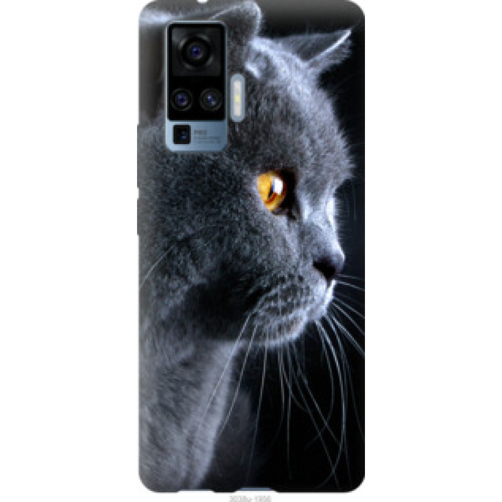 Чехол на Vivo X50 Pro Красивый кот (3038u-1956)