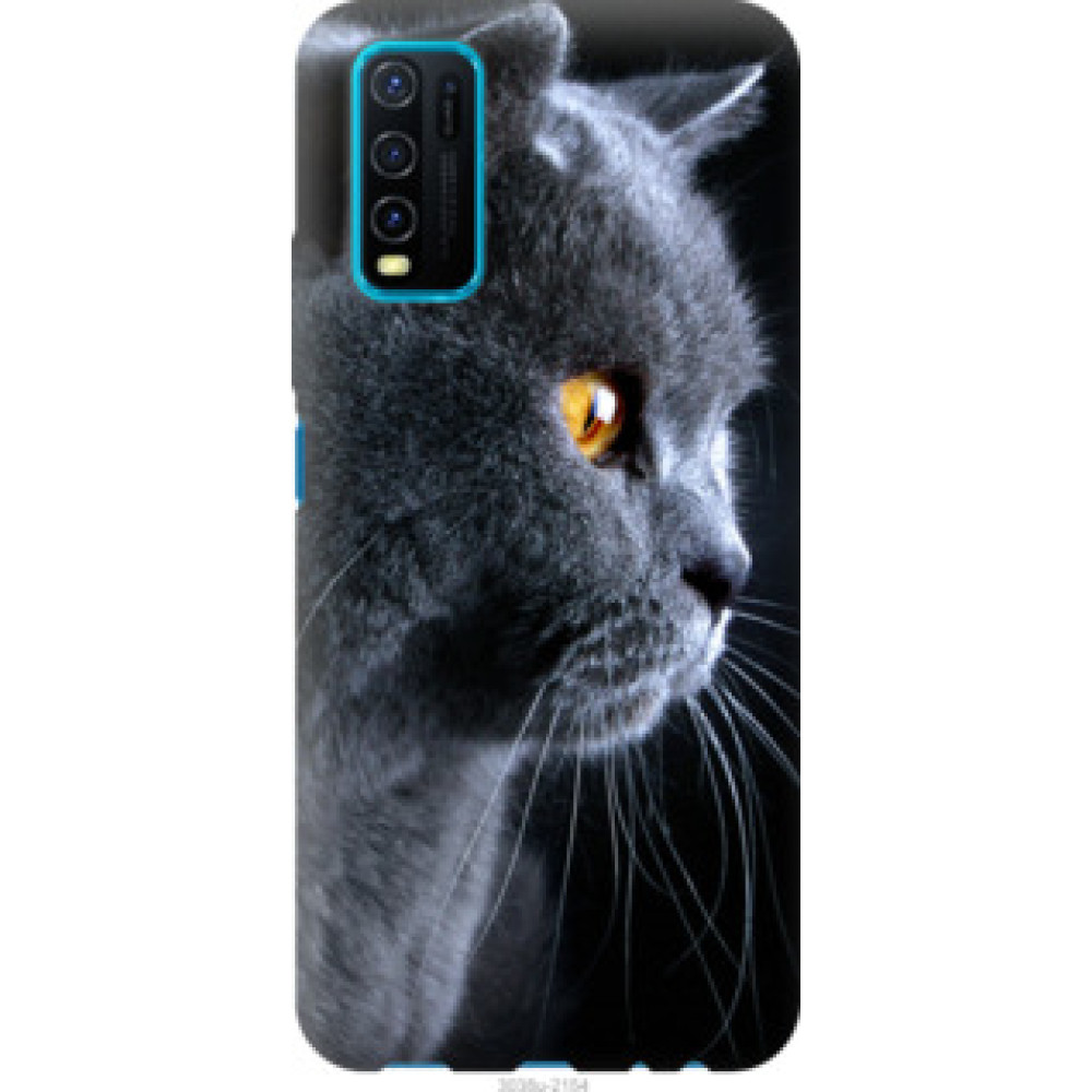 Чехол на Vivo Y30 Красивый кот (3038u-2154)