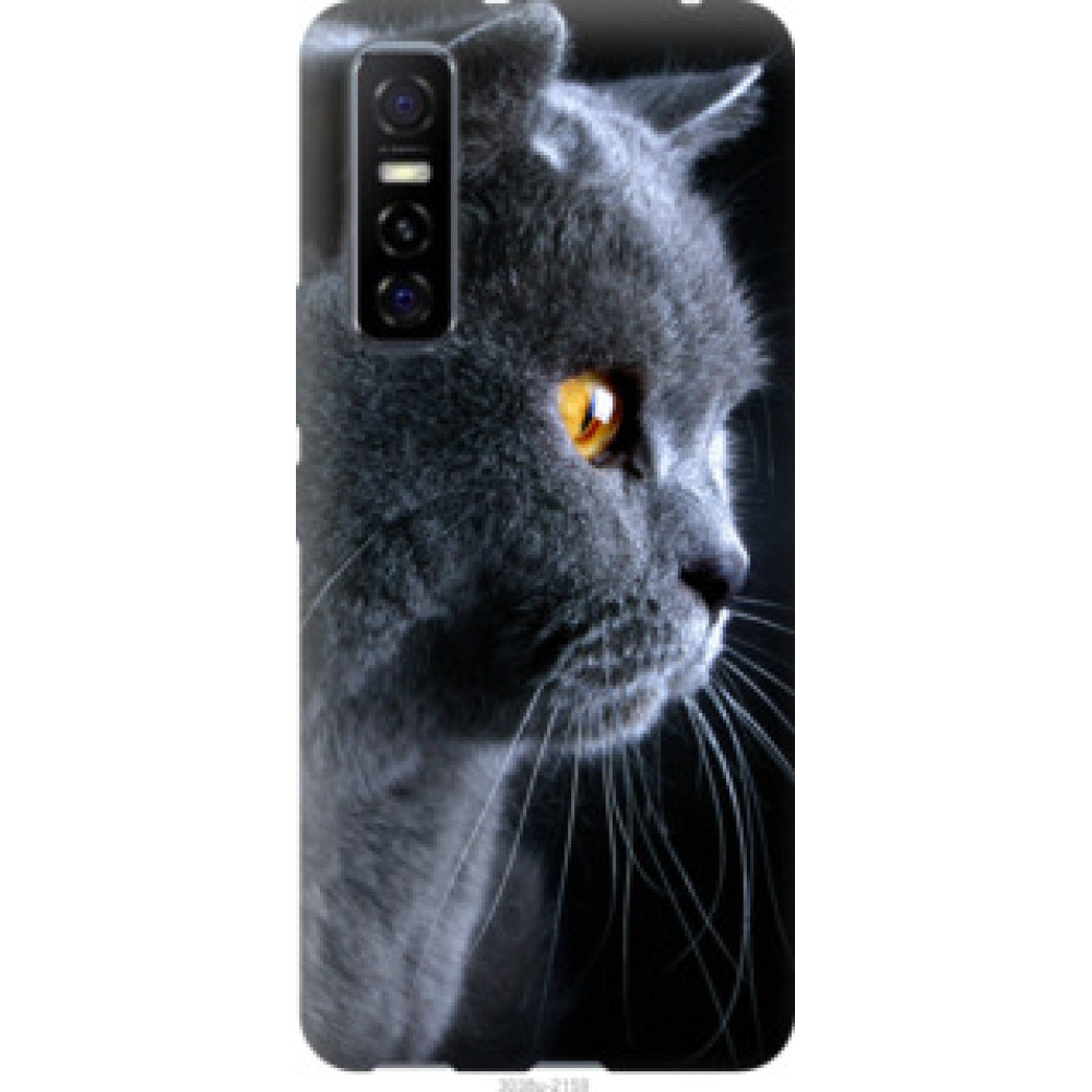 Чехол на Vivo Y73S Красивый кот (3038u-2159)