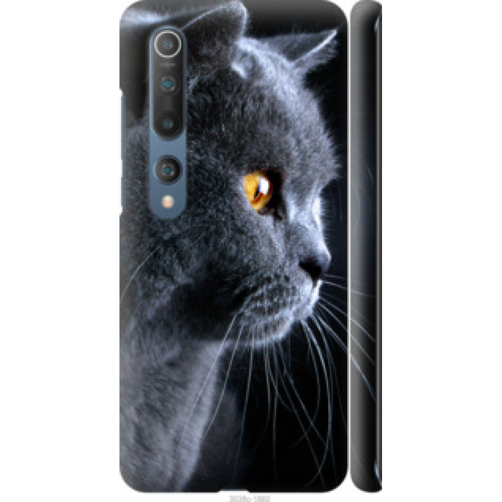 Чехол на Xiaomi Mi 10 Красивый кот (3038c-1860)