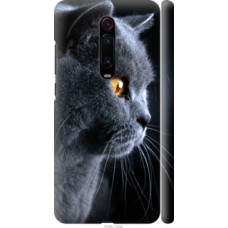 Чехол на Xiaomi Mi 9T Красивый кот (3038c-1815)