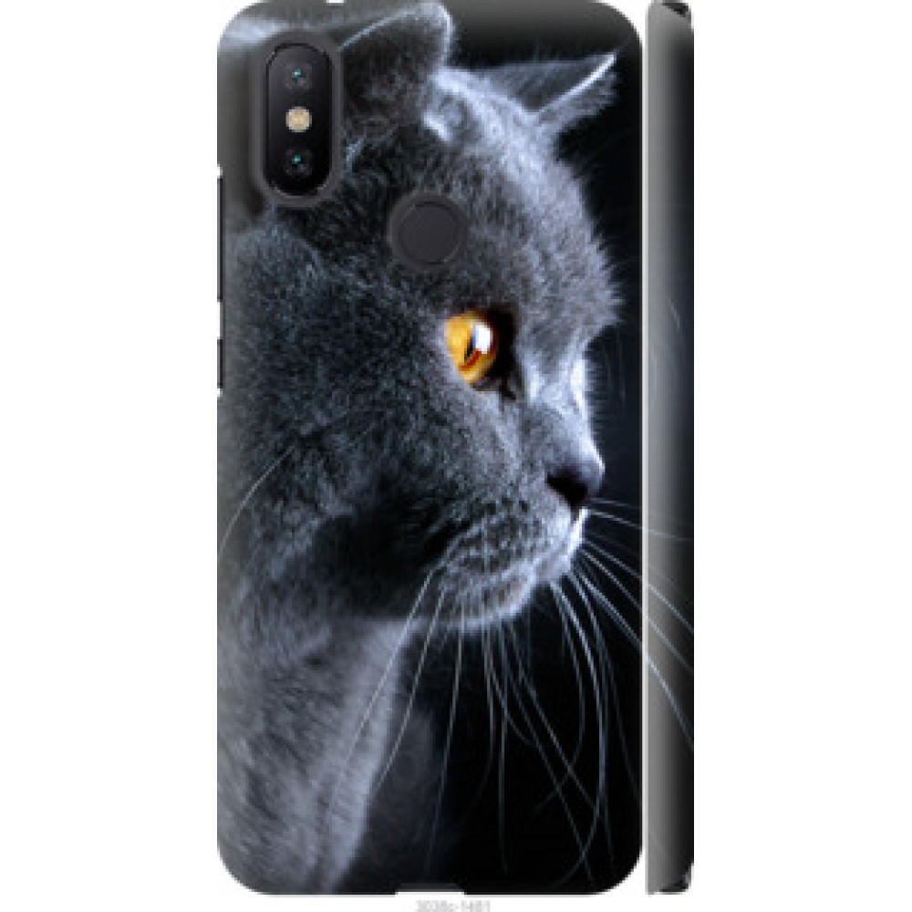 Чохол на Xiaomi Mi A2 Красивый кот (3038c-1481)