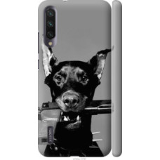 Чехол на Xiaomi Mi A3 Доберман (2745c-1737)