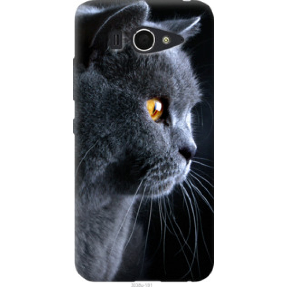 Чохол на Xiaomi Mi2 Красивый кот (3038u-191)