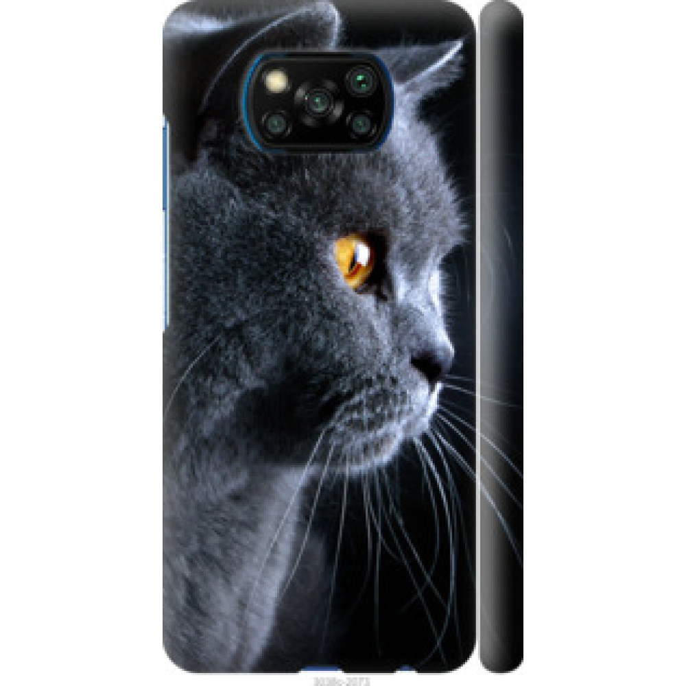 Чохол на Xiaomi Poco X3 Красивый кот (3038c-2073)