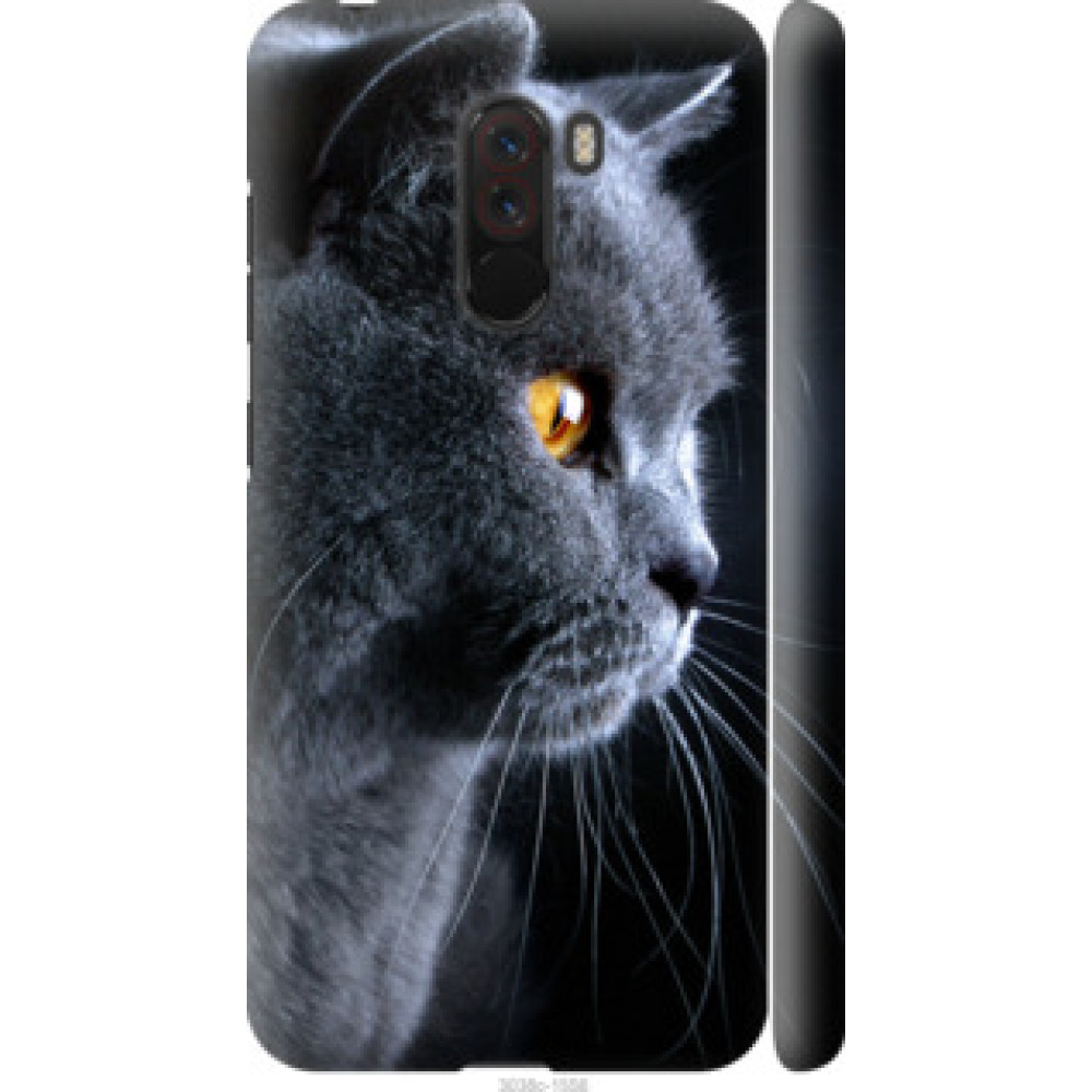 Чехол на Xiaomi Pocophone F1 Красивый кот (3038c-1556)