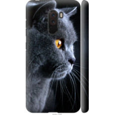 Чехол на Xiaomi Pocophone F1 Красивый кот (3038c-1556)