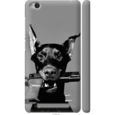 Чехол на Xiaomi Redmi 3 Доберман (2745c-97)