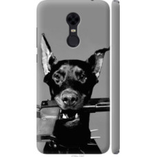 Чехол на Xiaomi Redmi 5 Plus Доберман (2745c-1347)