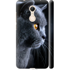 Чехол на Xiaomi Redmi 5 Красивый кот (3038c-1350)