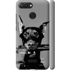 Чехол на Xiaomi Redmi 6 Доберман (2745c-1521)