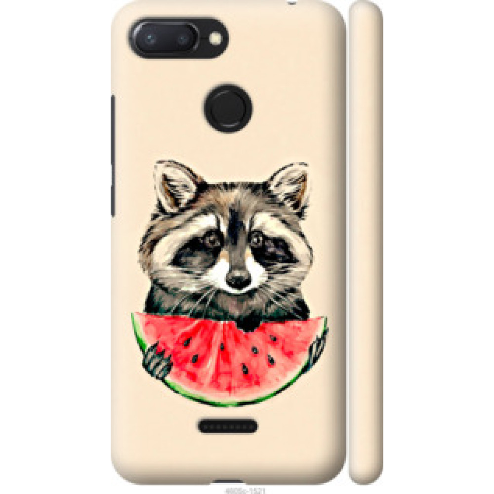 Чохол на Xiaomi Redmi 6 Енотик с арбузом (4605c-1521)