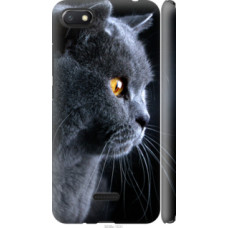 Чехол на Xiaomi Redmi 6A Красивый кот (3038c-1531)