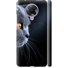 Чехол на Xiaomi Redmi K30 Pro Красивый кот (3038c-1899)