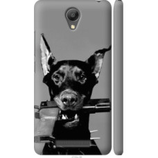 Чехол на Xiaomi Redmi Note 2 Доберман (2745c-96)