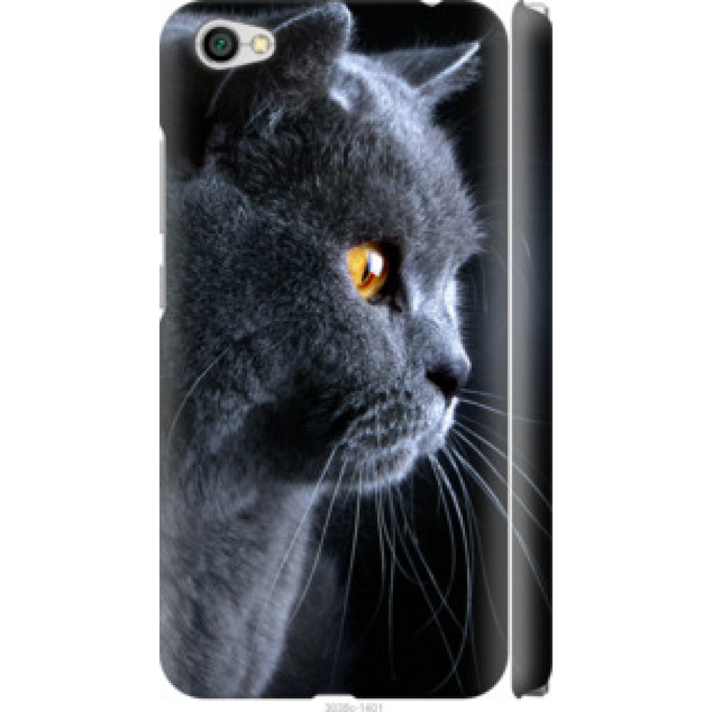 Чехол на Xiaomi Redmi Note 5A Красивый кот (3038c-1401)