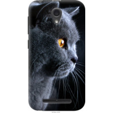 Чехол на ZTE L110 Красивый кот (3038u-435)